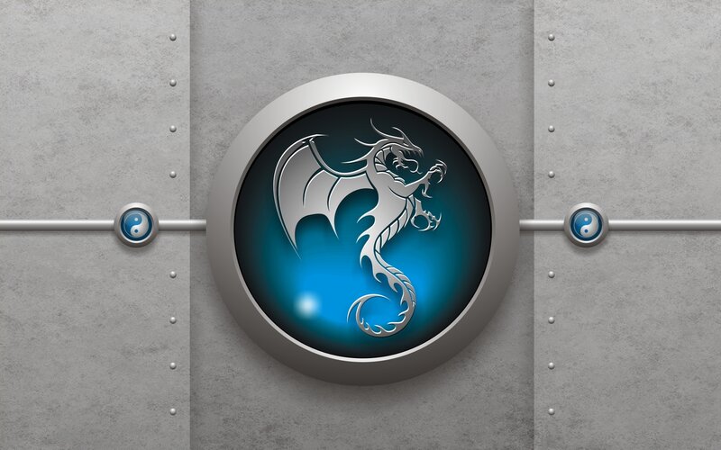 dragon emblem on metal wall