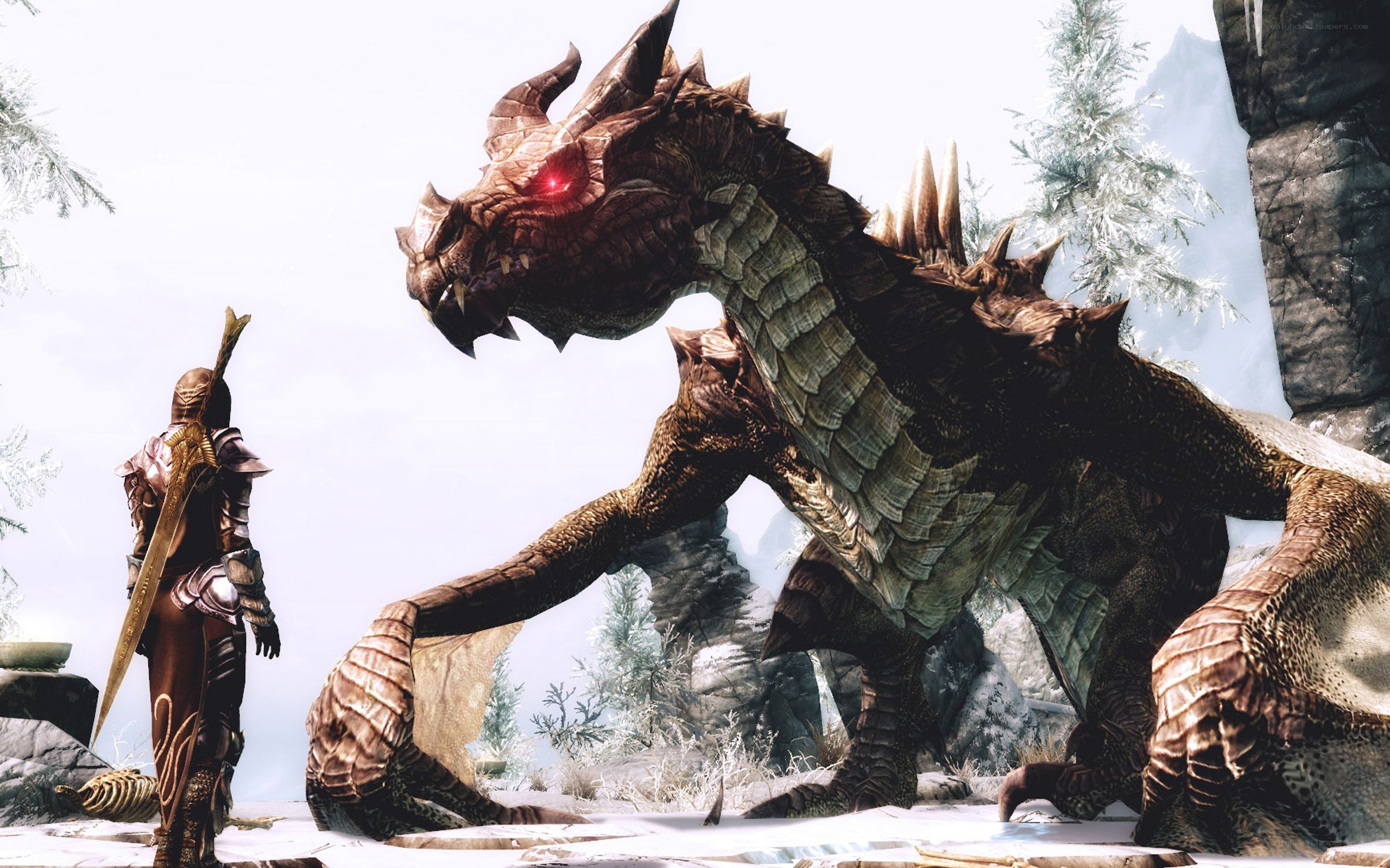 dragon encounter in snowy landscape