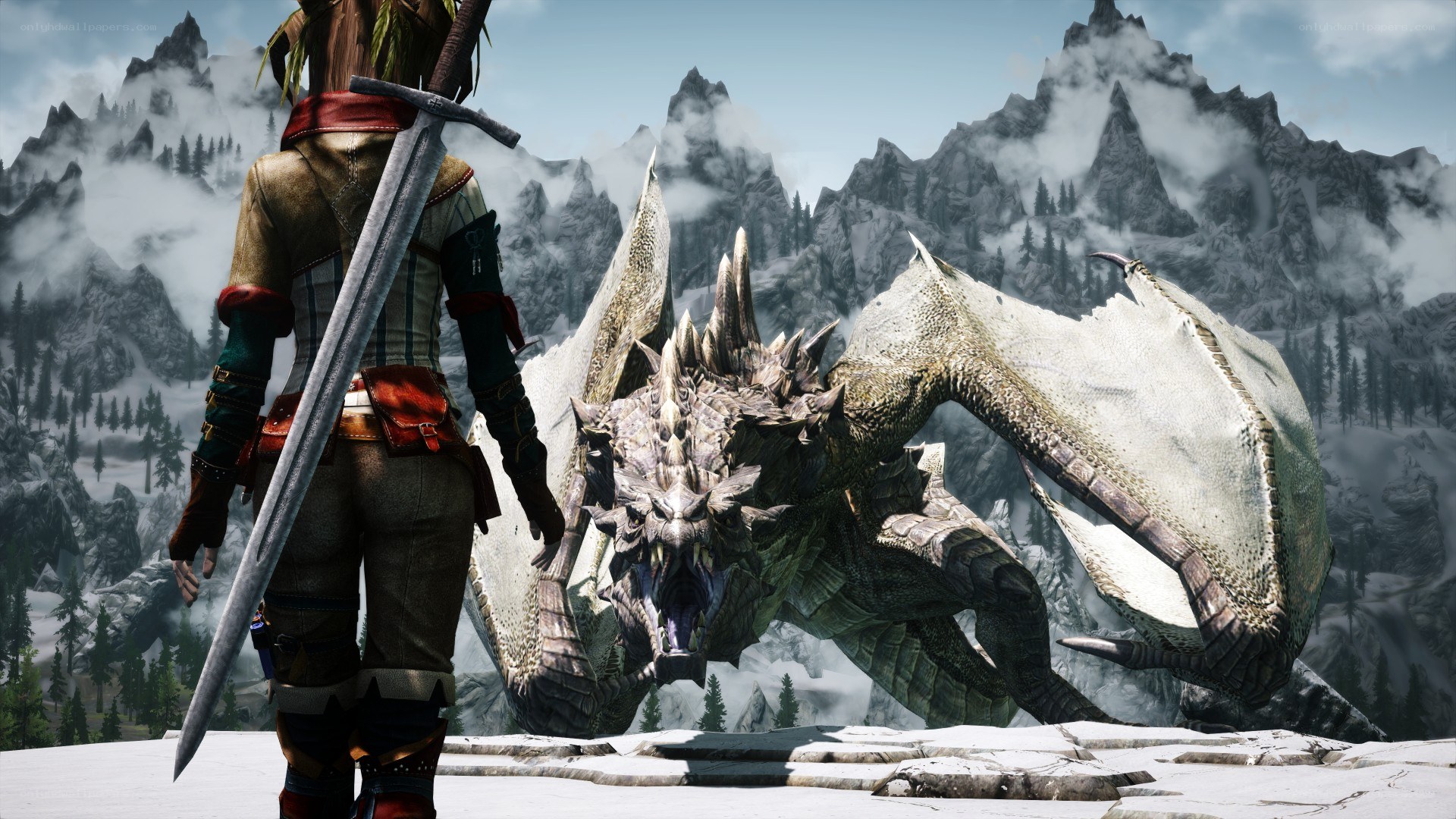 dragon encounter in snowy mountains