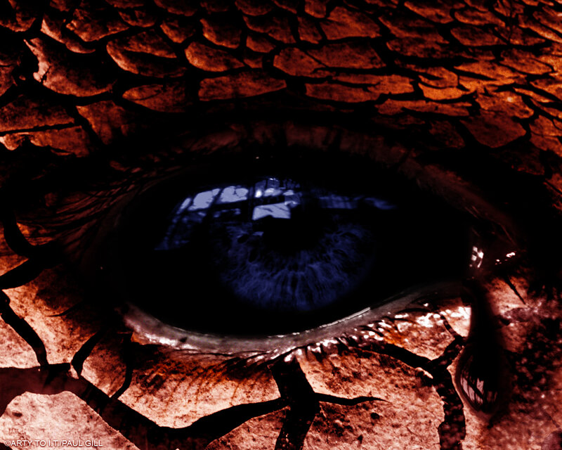 dragon eye close-up