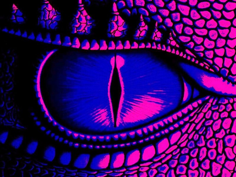 dragon eye close-up
