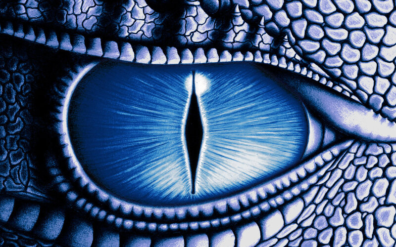 dragon eye close-up