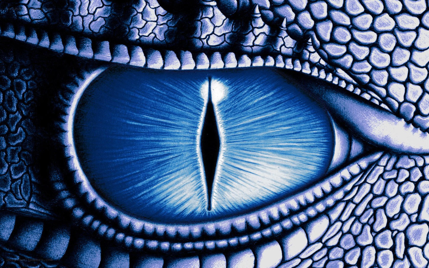 dragon eye close-up