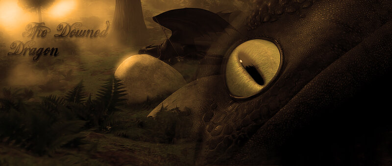 Dragon Eye in Forest