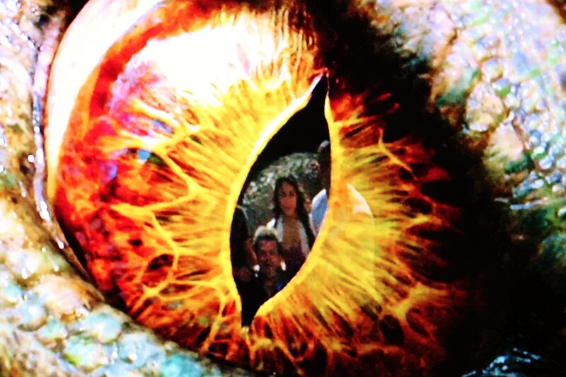 Dragon Eye Reflection — Yellow