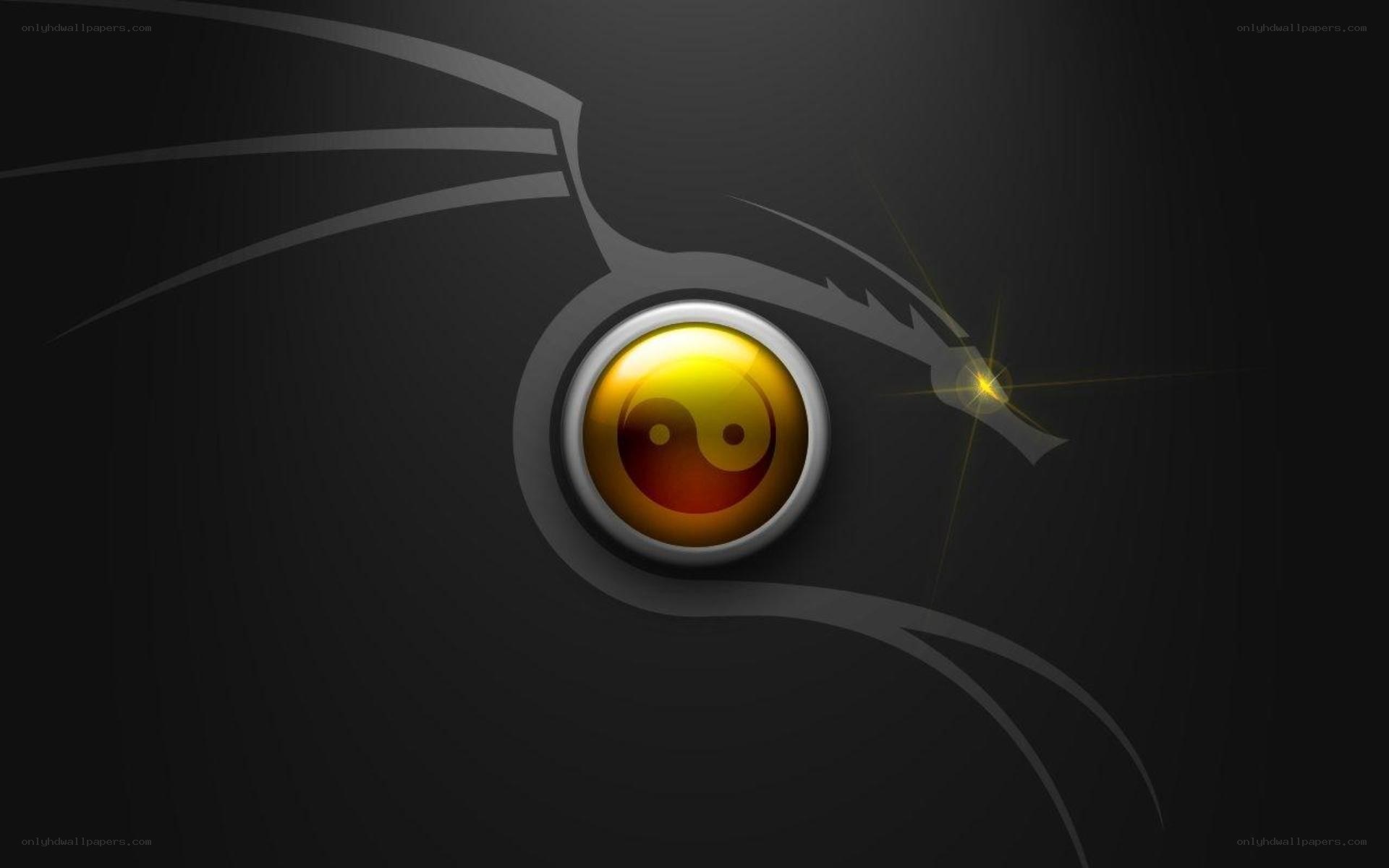 dragon eye with yin yang symbol