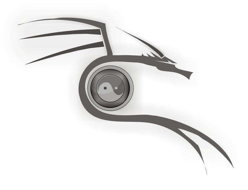 dragon eye yin-yang symbol