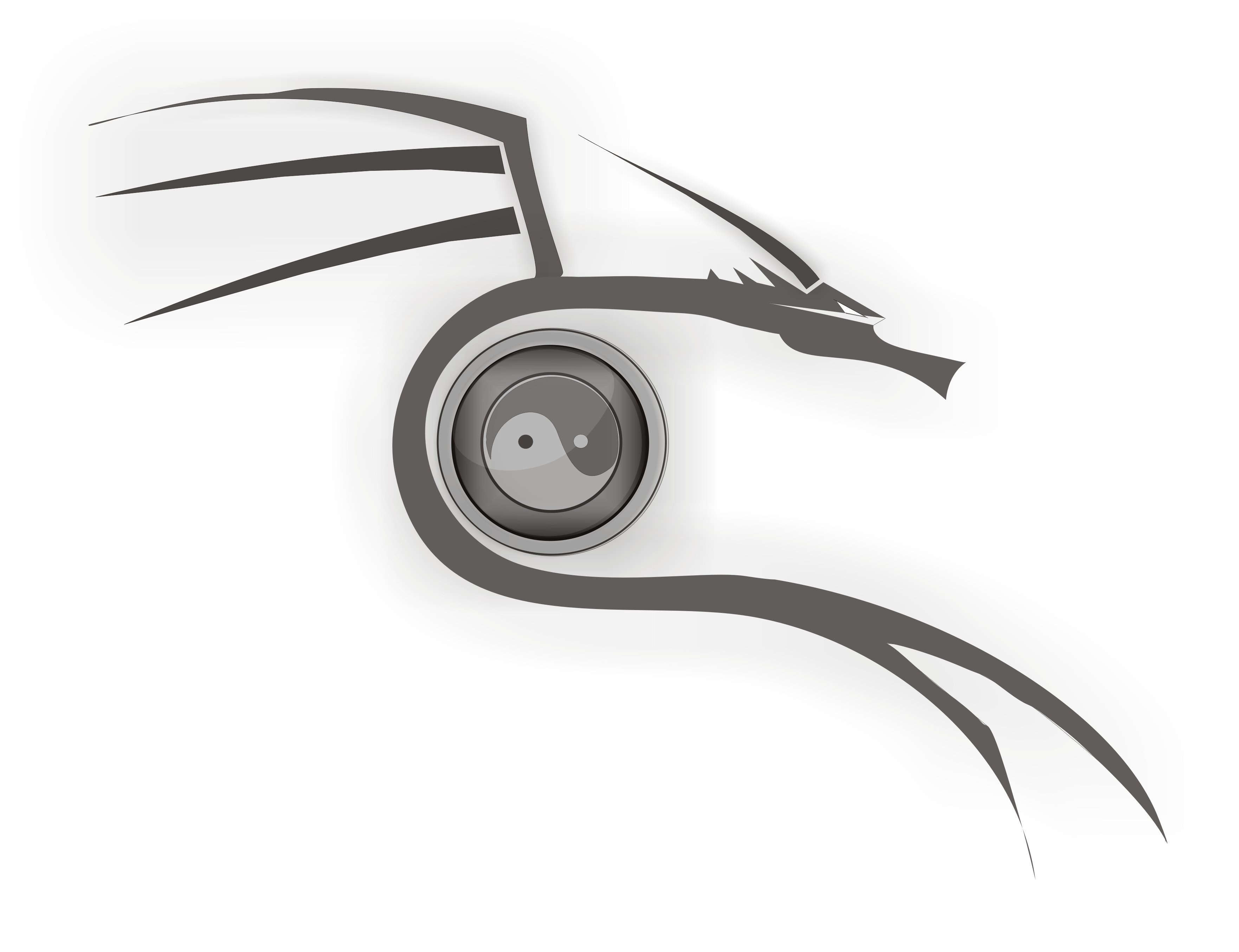 dragon eye yin-yang symbol