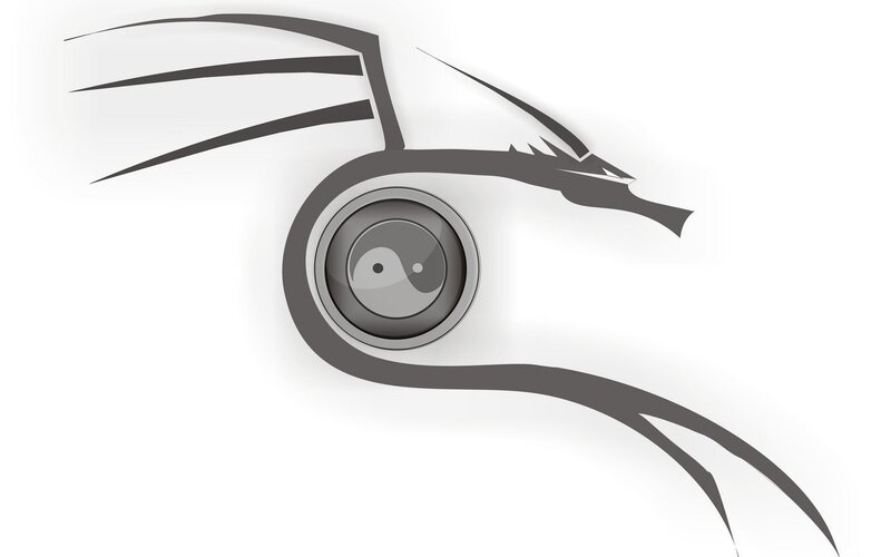 dragon eye yin-yang symbol