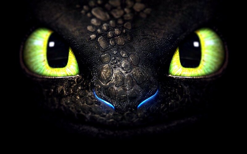 Dragon Face Close-up — Black