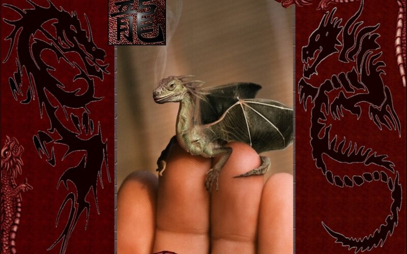 dragon figurine on hand