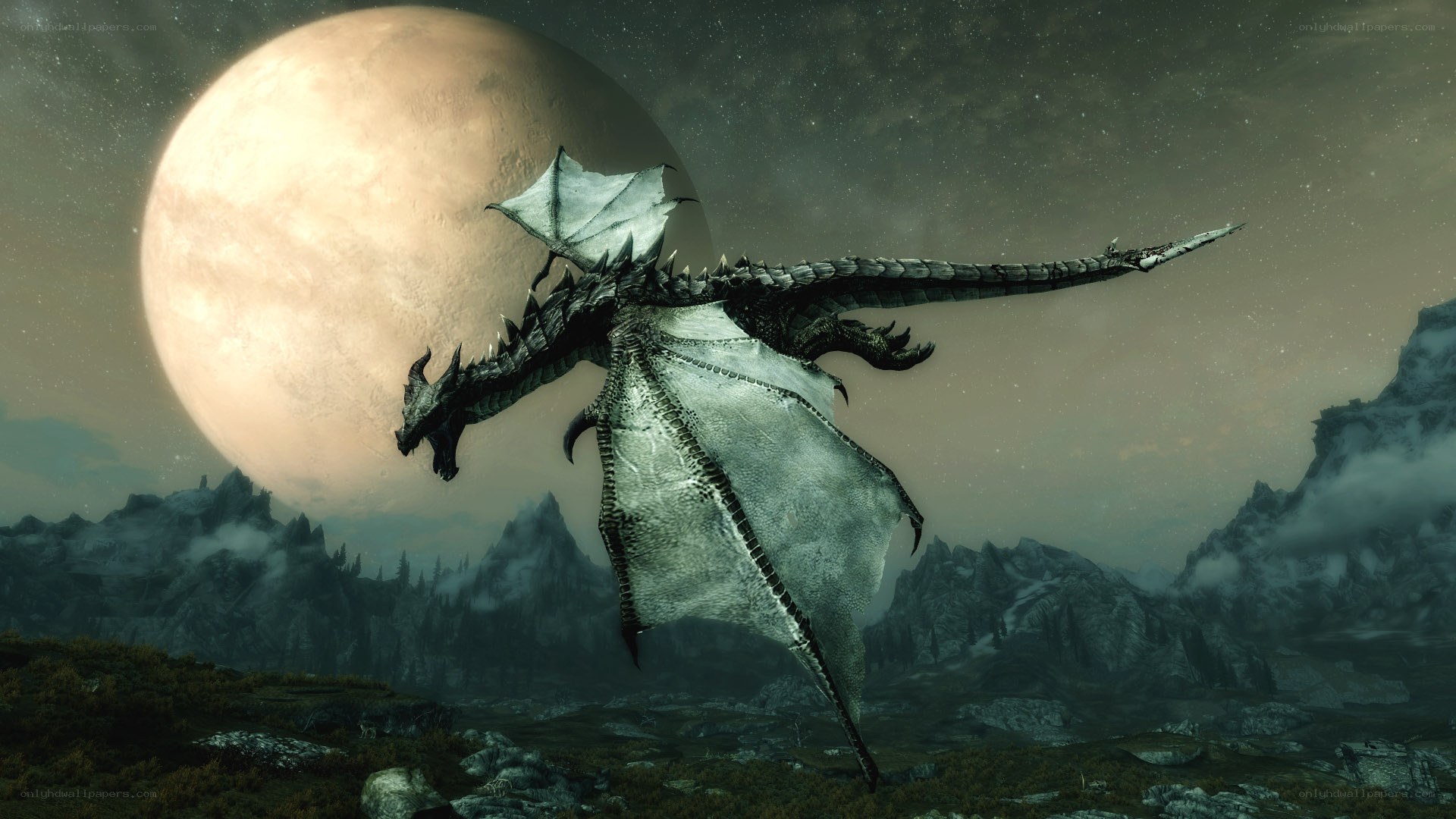 dragon flying at night