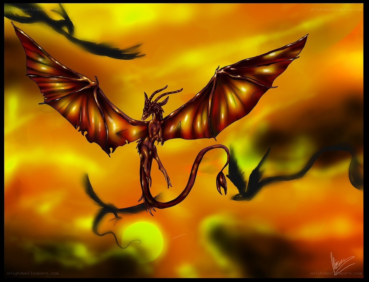 dragon flying at sunset