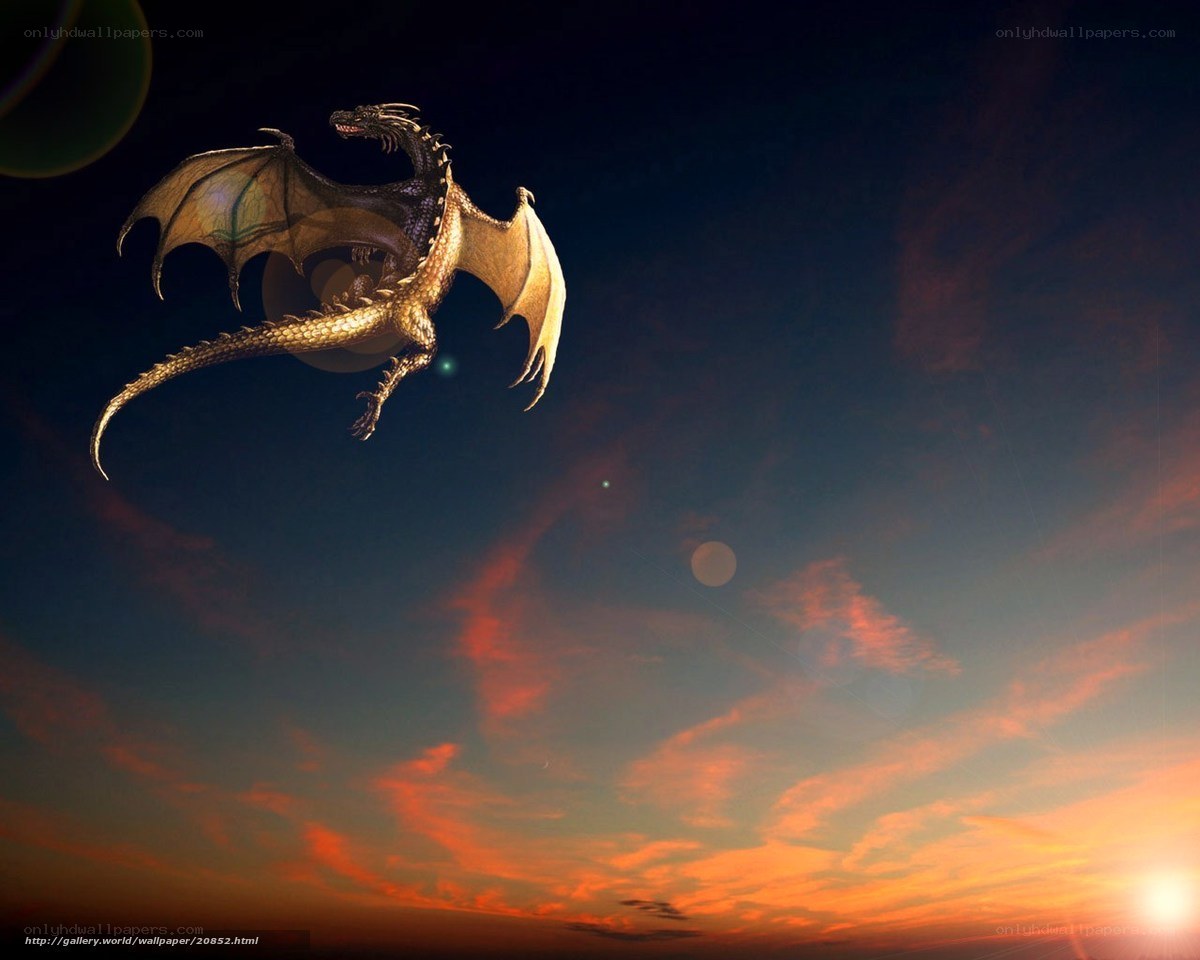 dragon flying at sunset