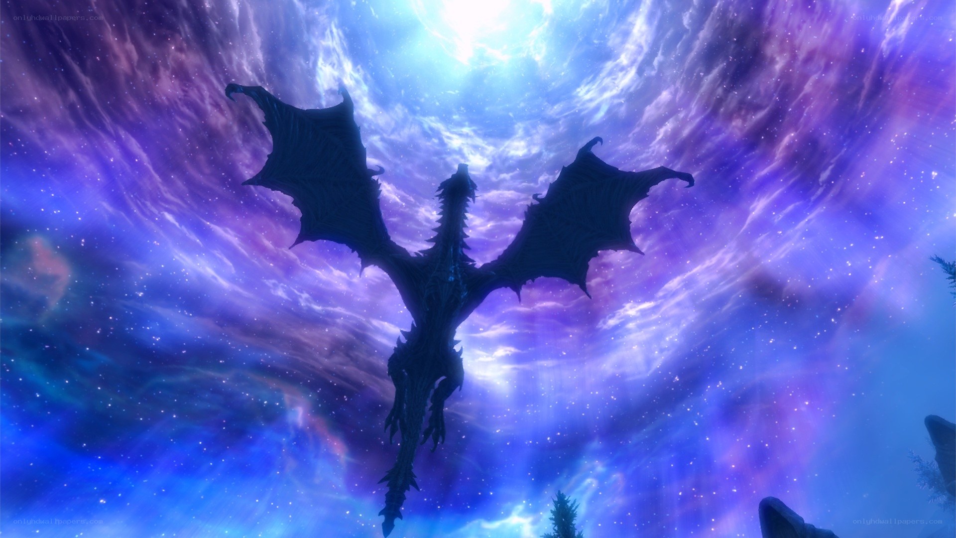 dragon flying in a starry sky