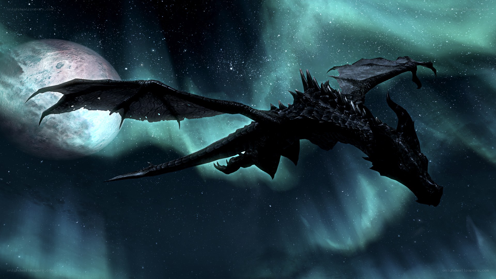 dragon flying in aurora