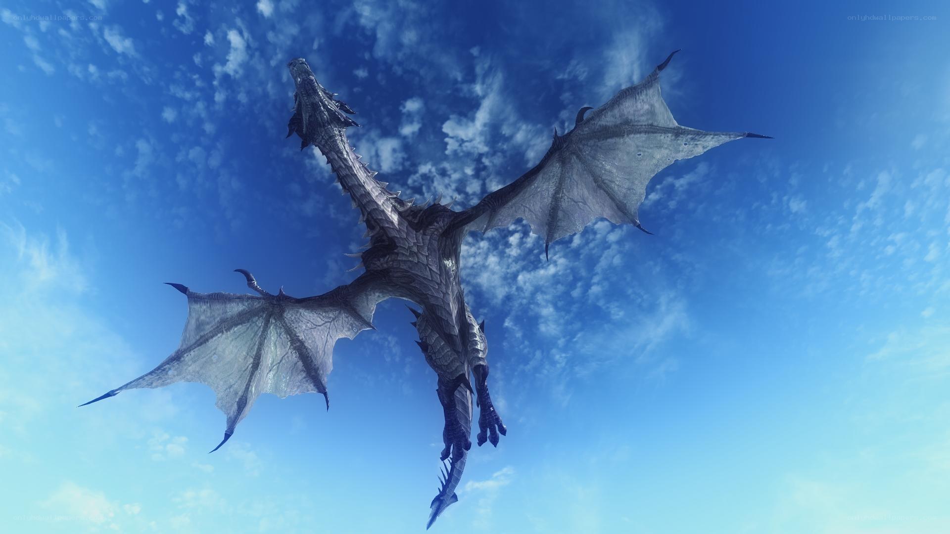 dragon flying in blue sky