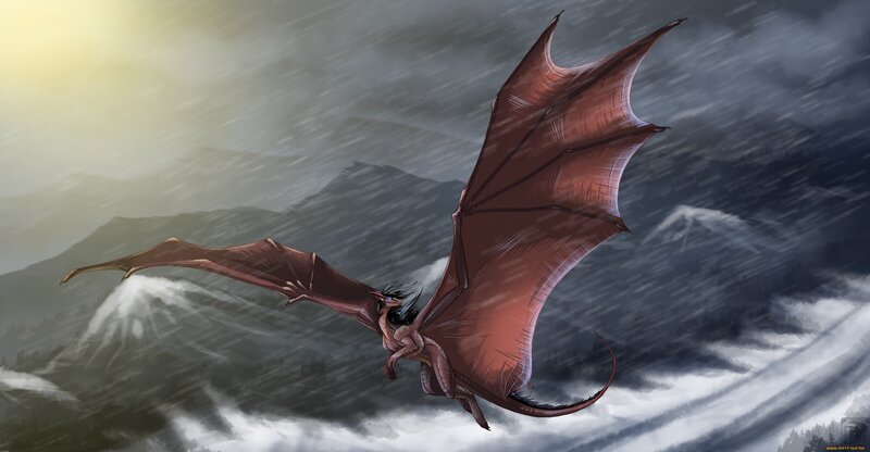dragon flying in storm