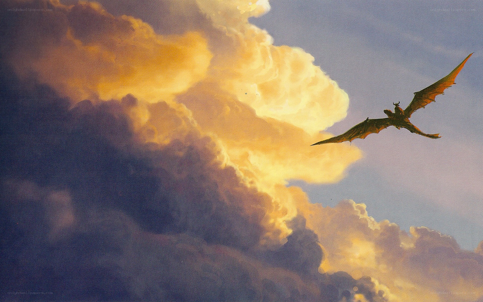 dragon flying in sunset sky