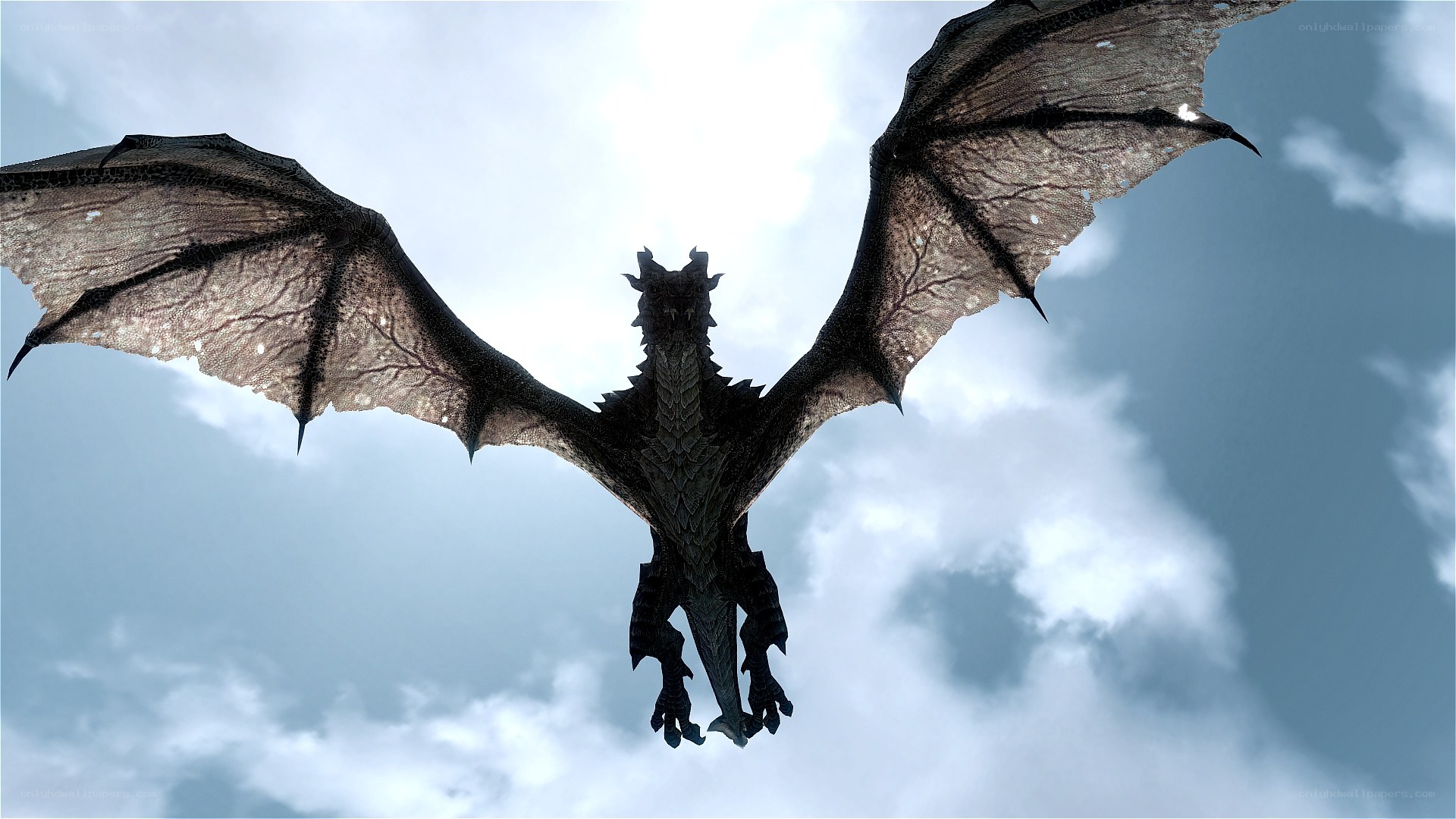 dragon flying in the sky