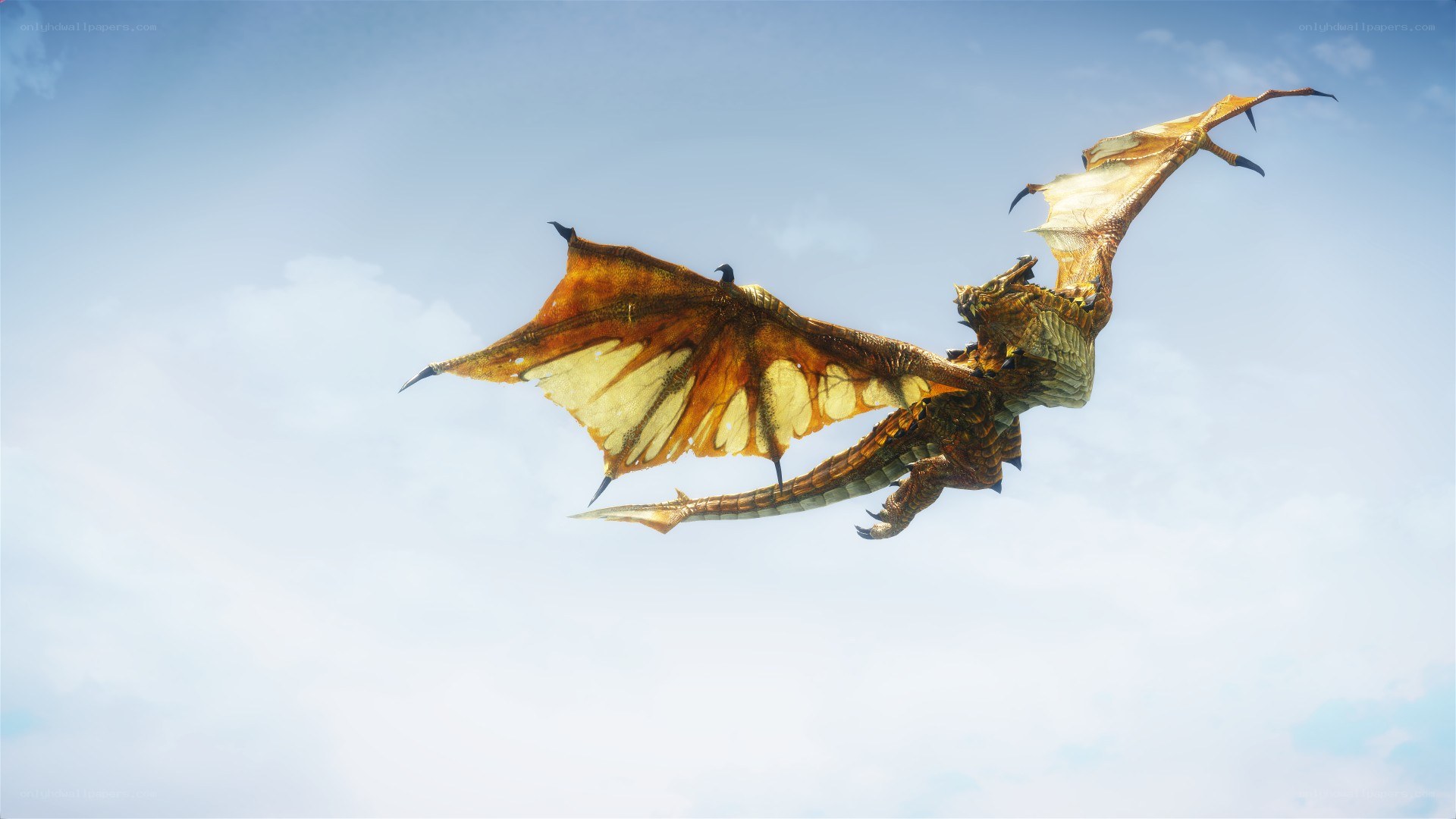 dragon flying in the sky