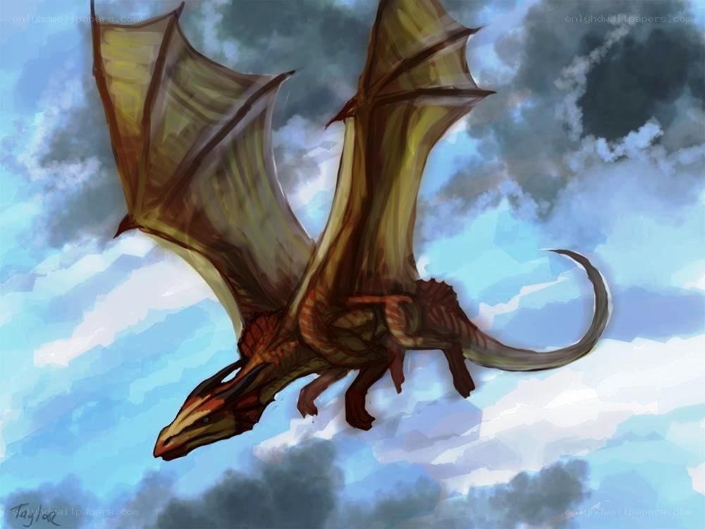 dragon flying in the sky