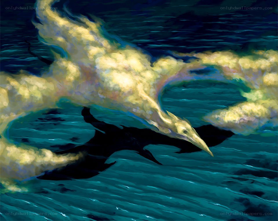 dragon flying over ocean