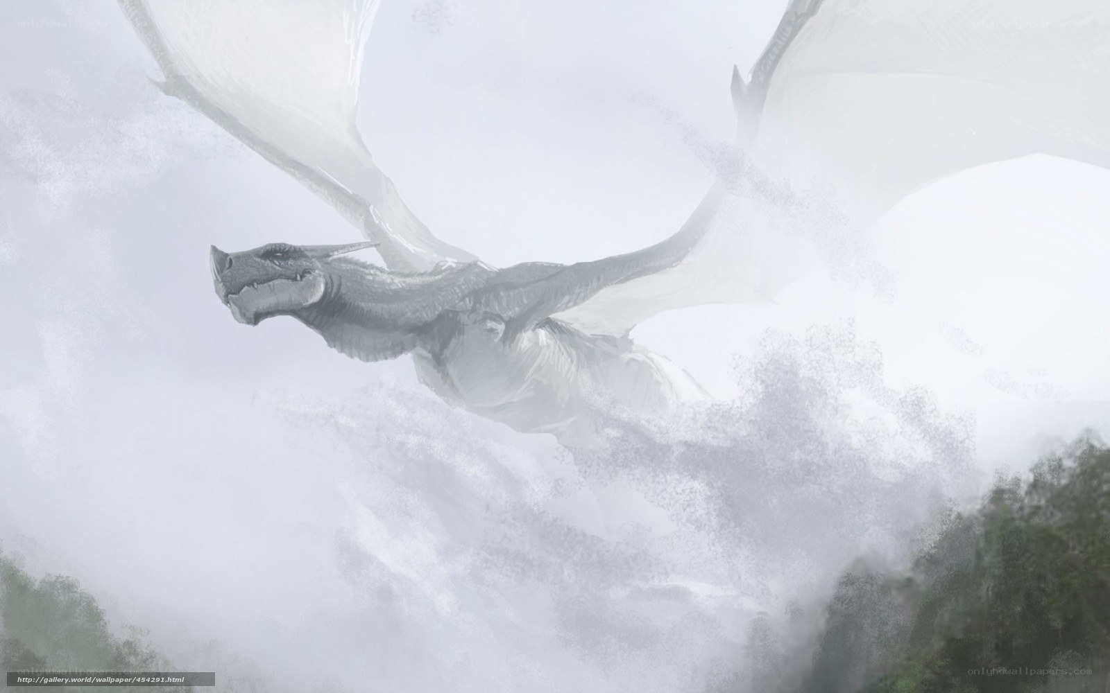 dragon flying through mist