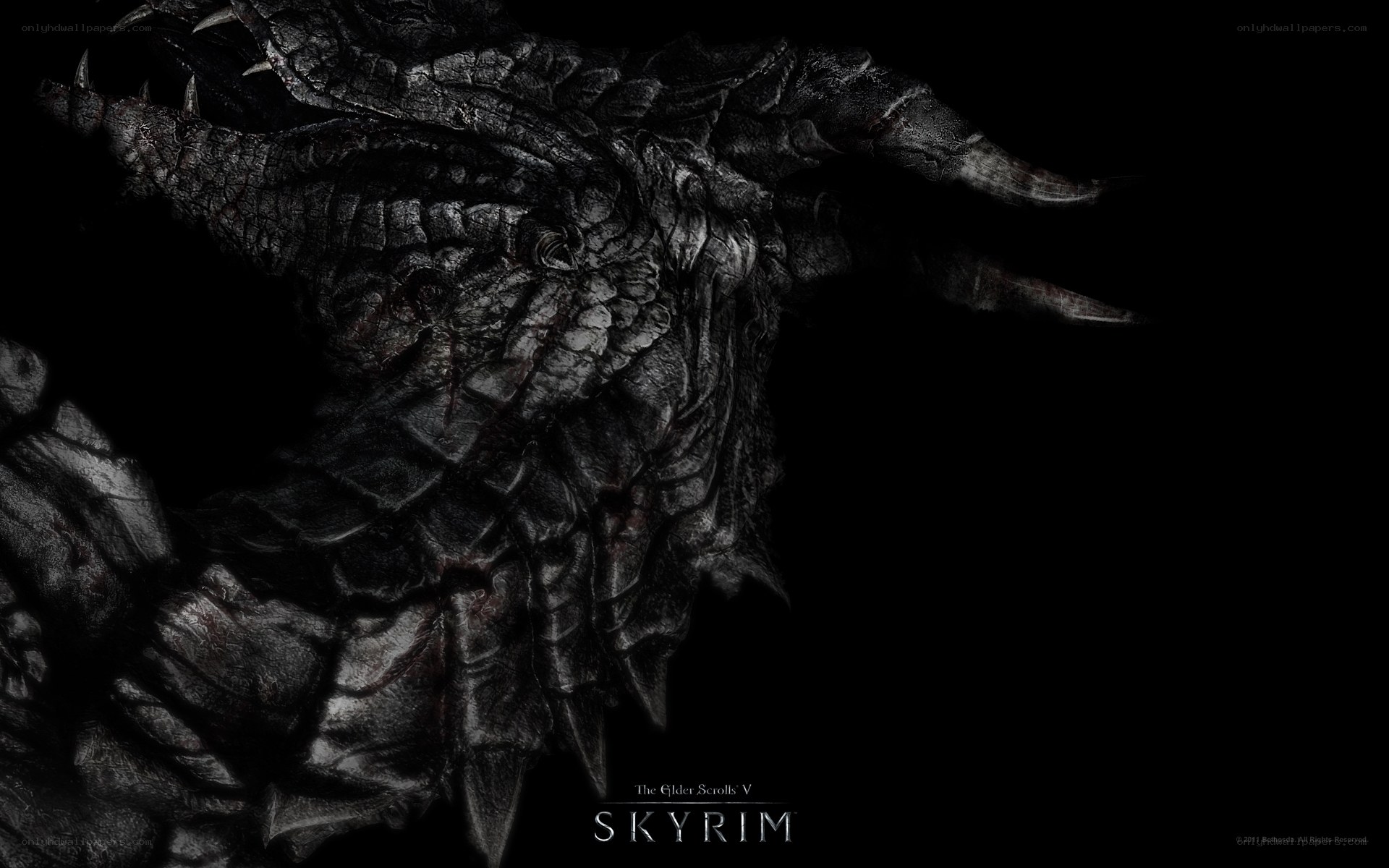 Dragon from Skyrim