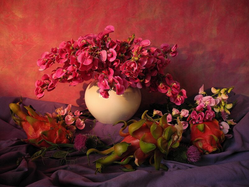 Dragon Fruit and Flowers