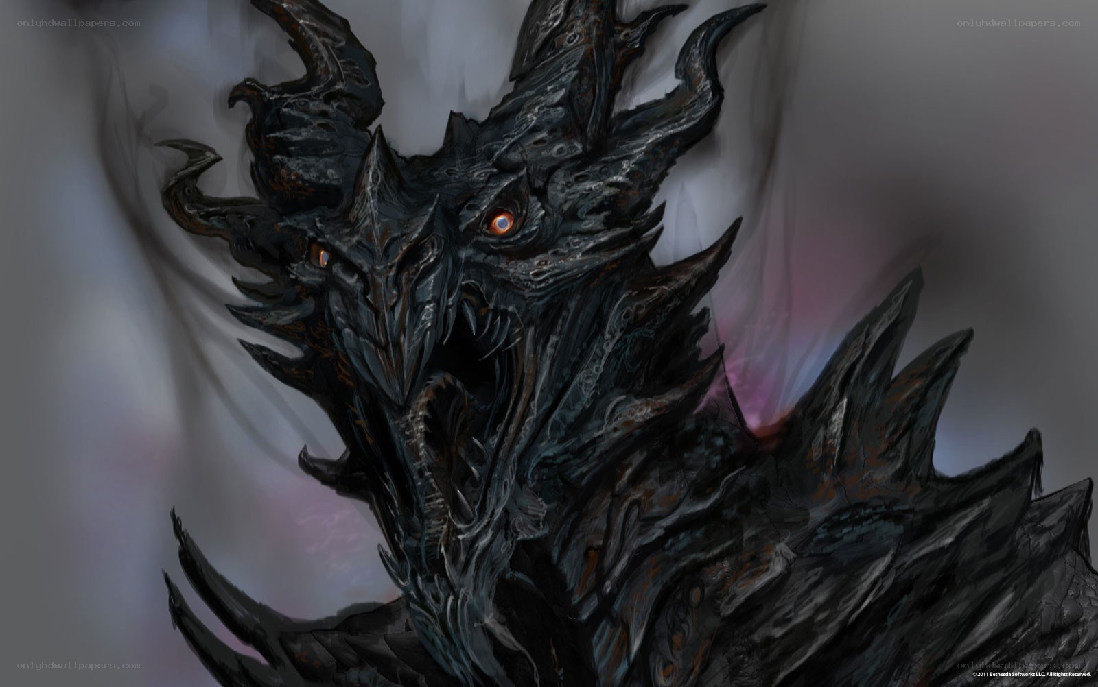 dragon head close-up