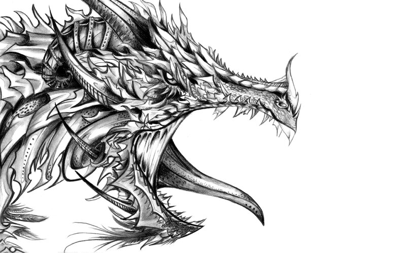 Dragon Head Illustration — Black