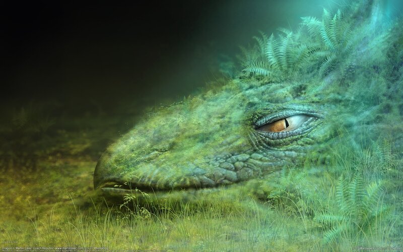 Dragon Head in Grass — Green, Serene