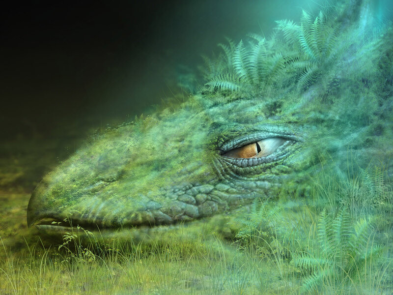 Dragon Head in Grass
