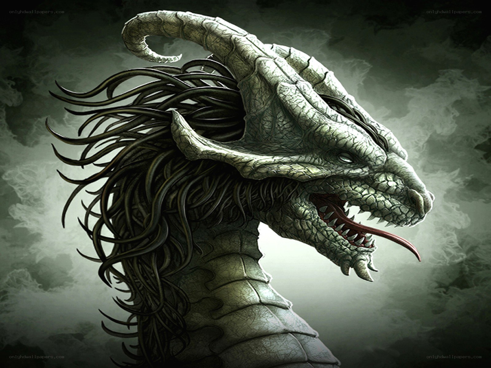 dragon head in mist