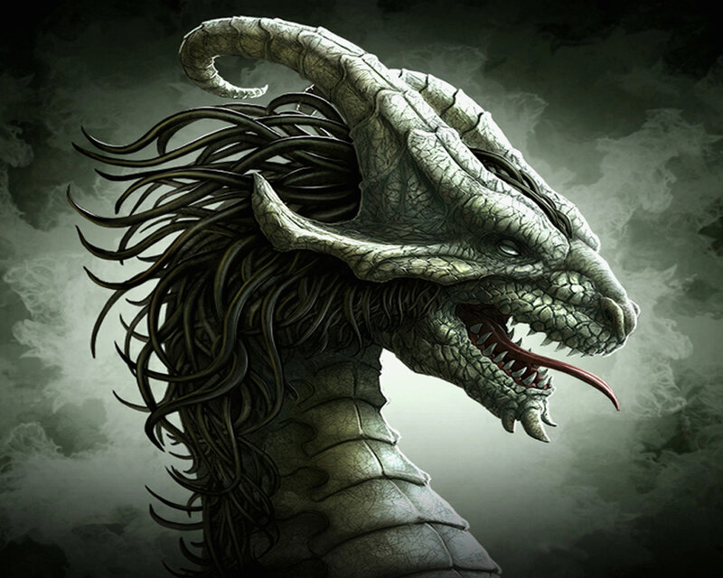 dragon head in mist