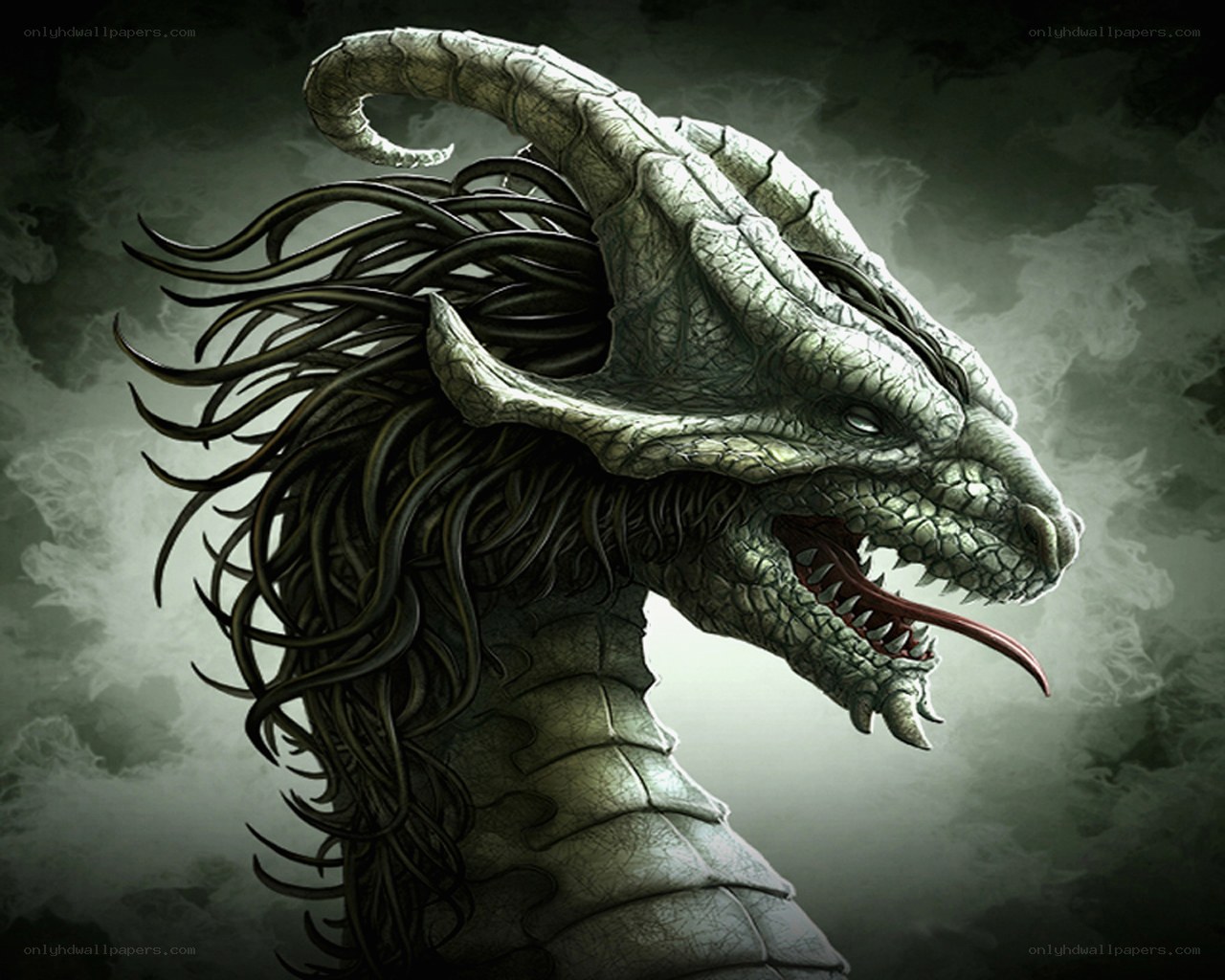 dragon head in mist