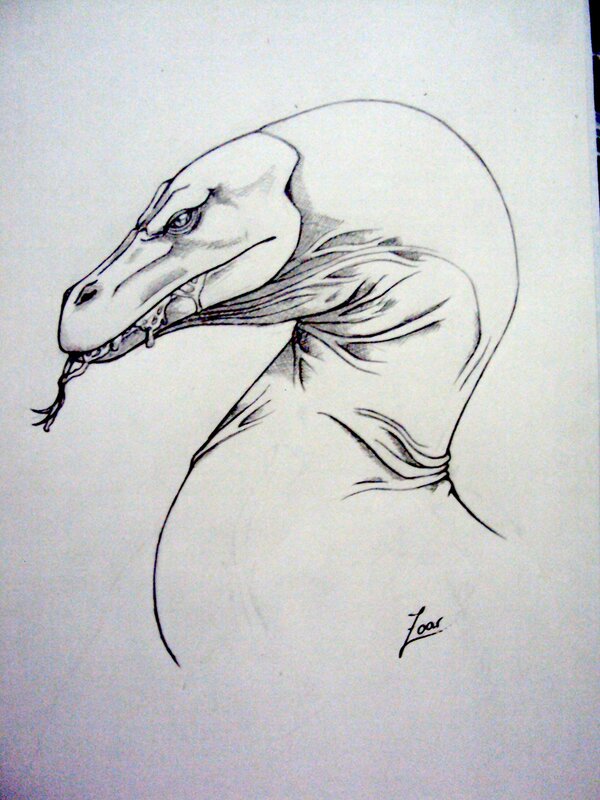dragon head sketch