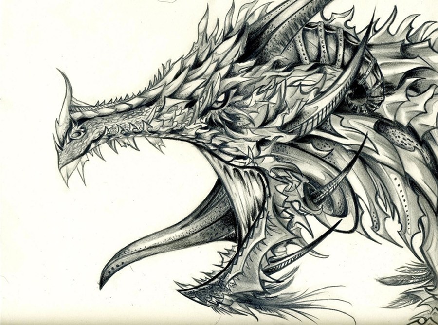 dragon head sketch