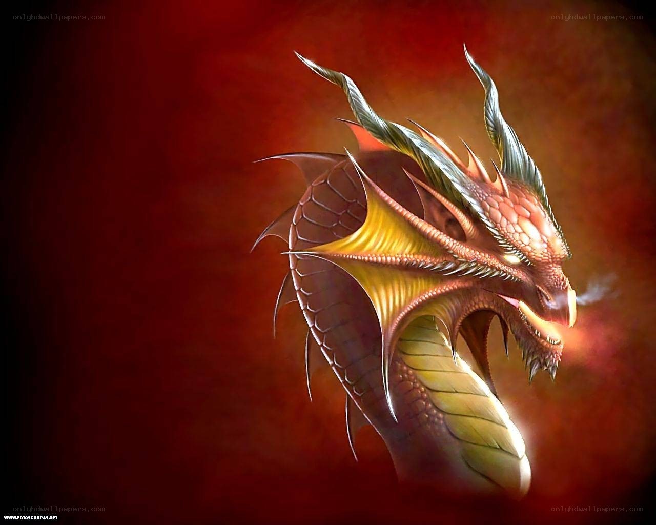dragon head with fire breath