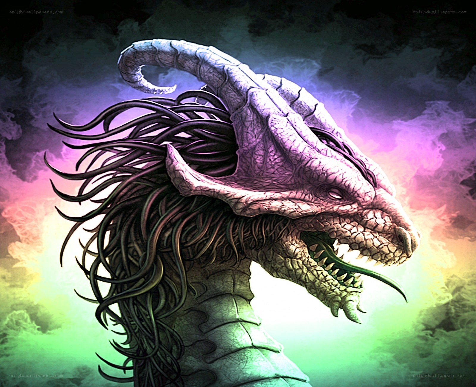 dragon head with glowing eyes