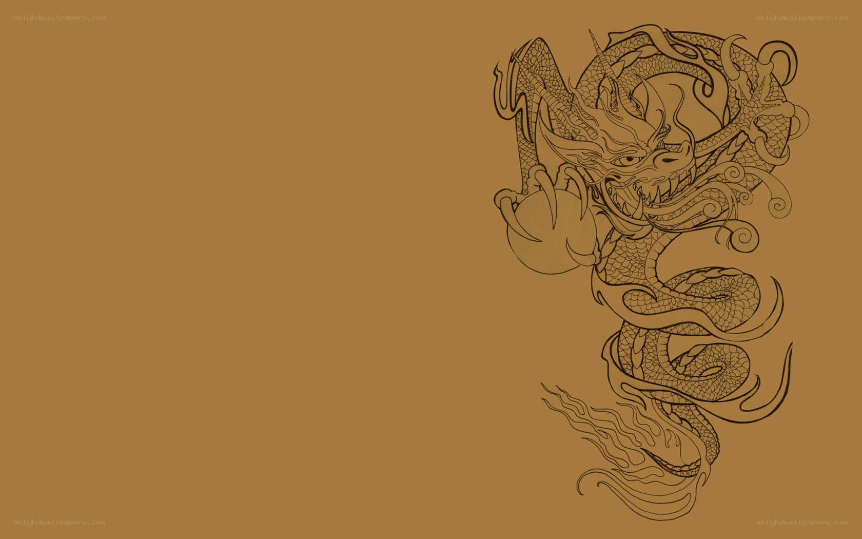 dragon illustration on brown background