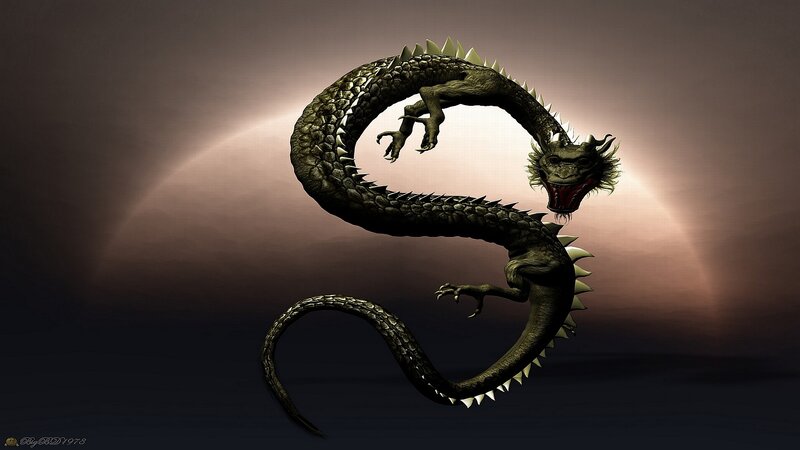 dragon in a circular pose