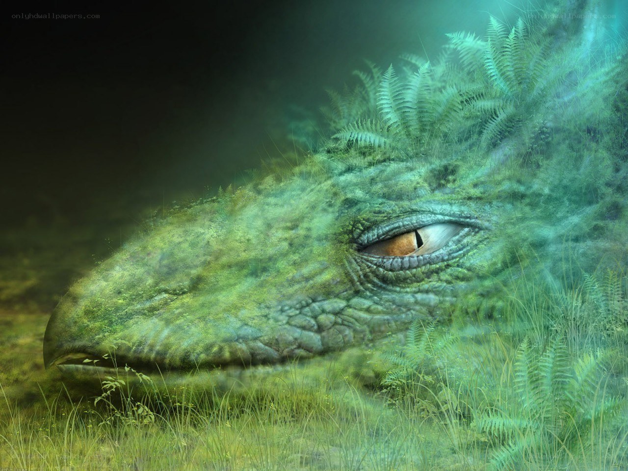 dragon in a forest