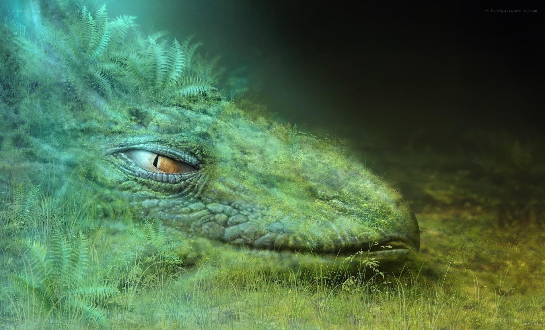 dragon in a forest