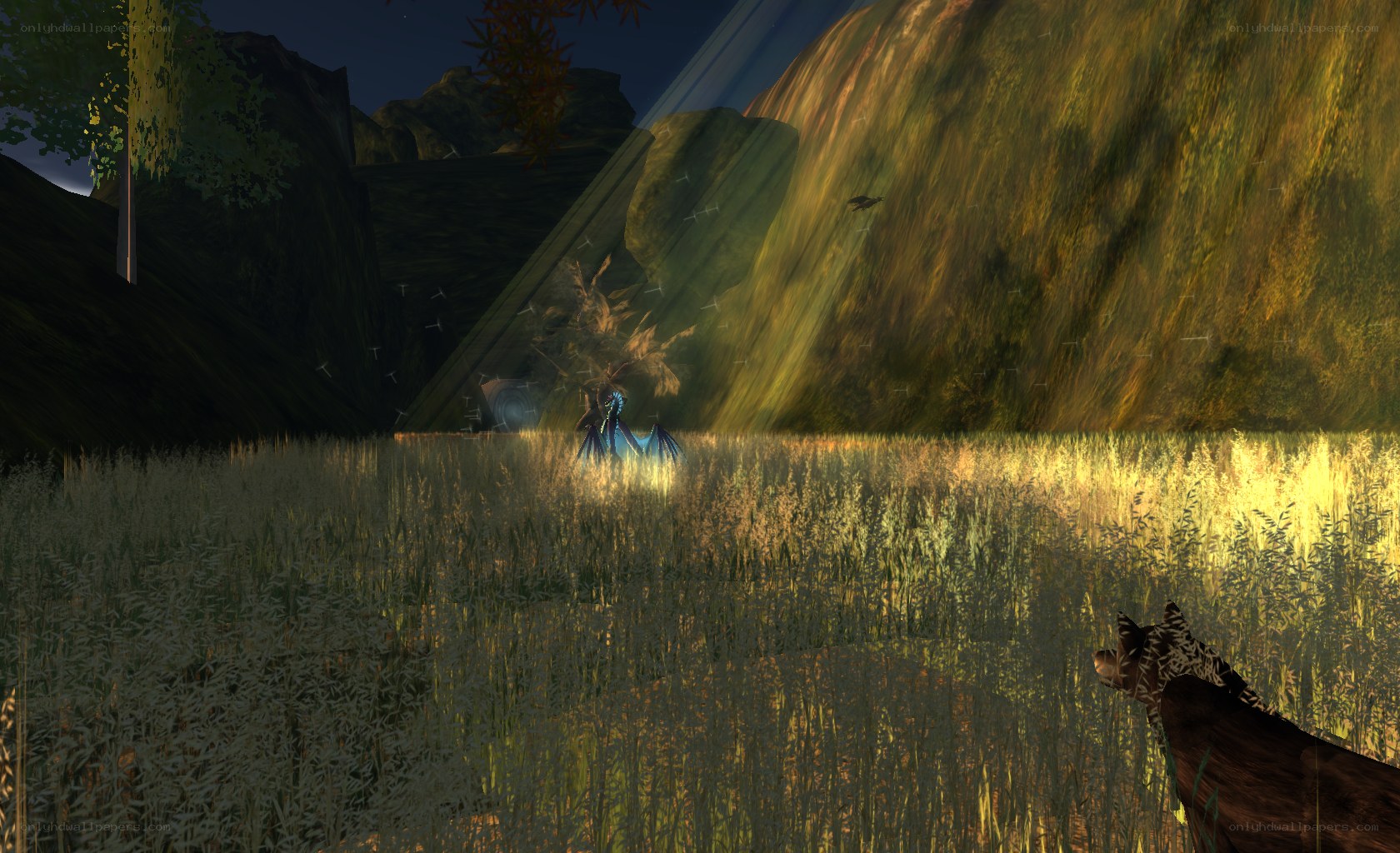 dragon in a grassy valley