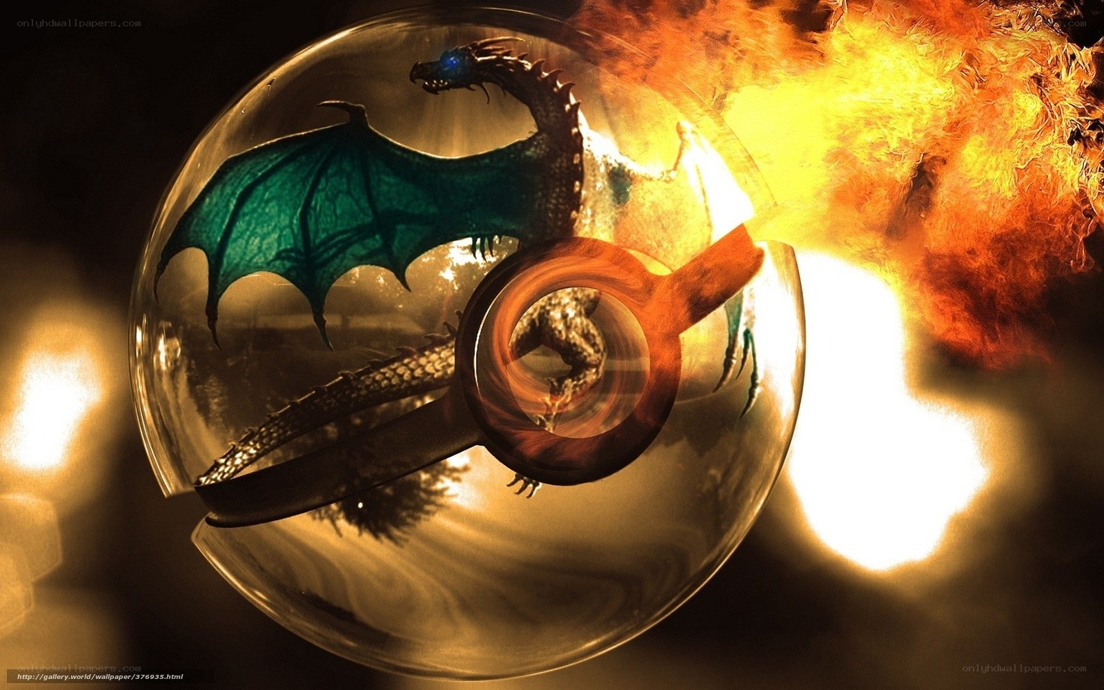 dragon in a pokeball
