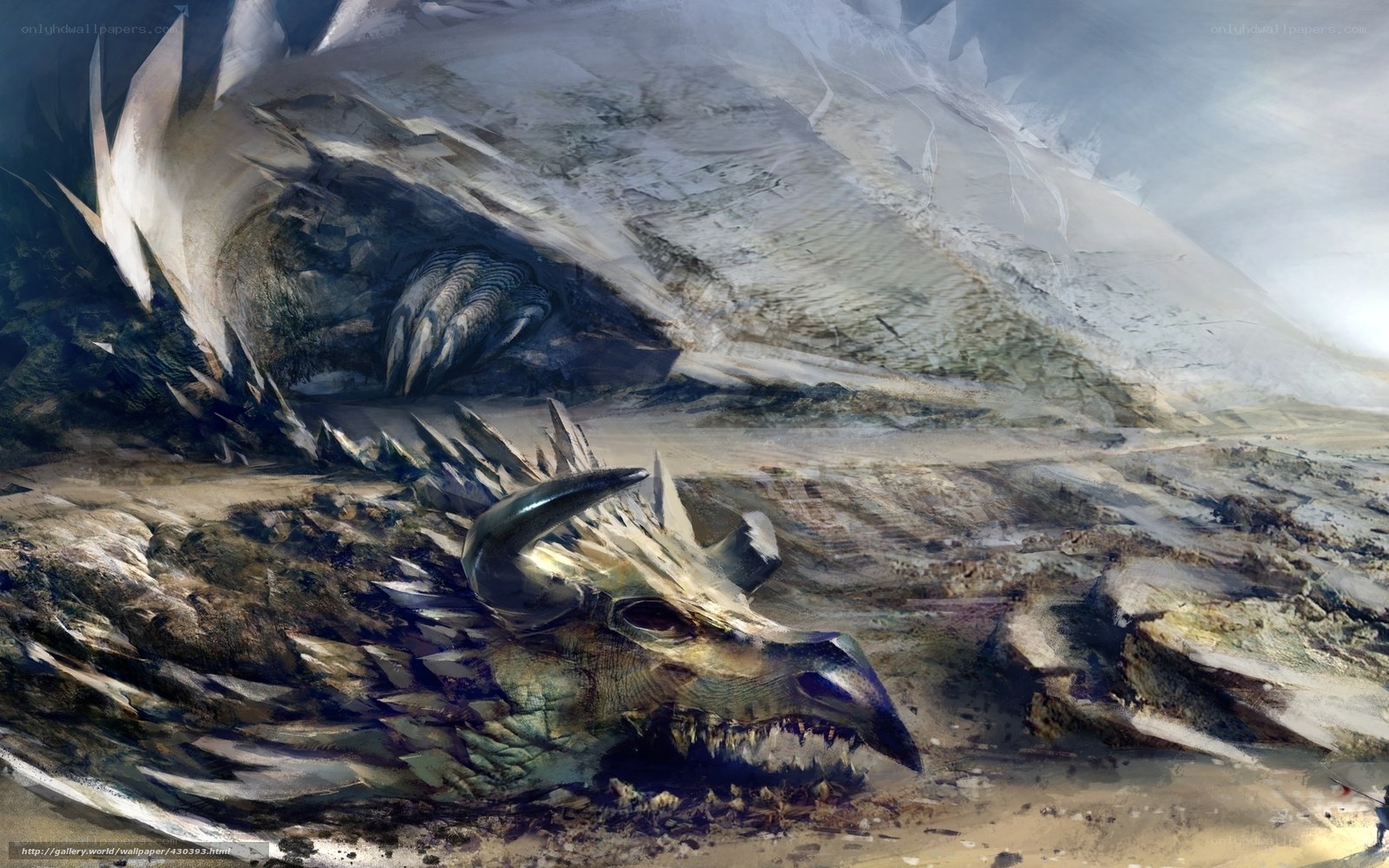 Dragon in a snowy cave