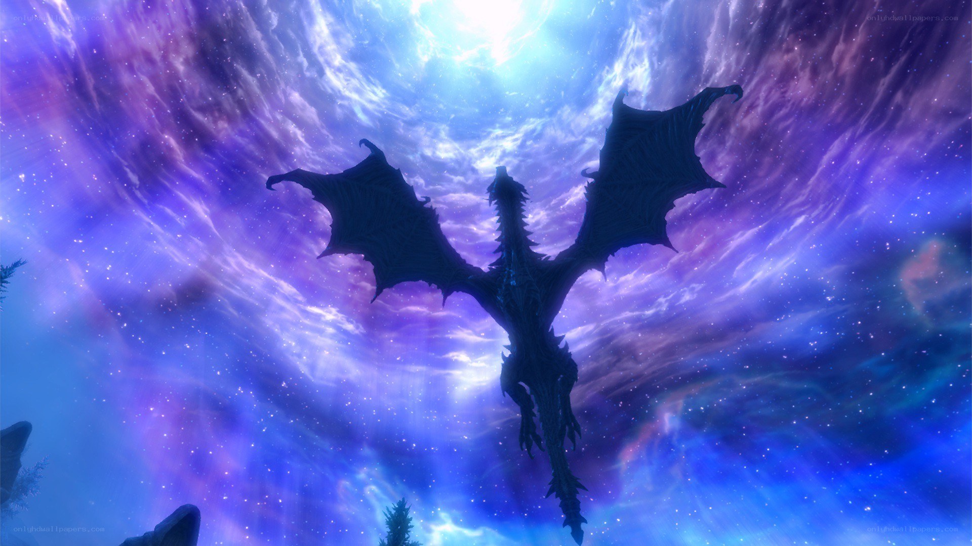 dragon in a starry sky
