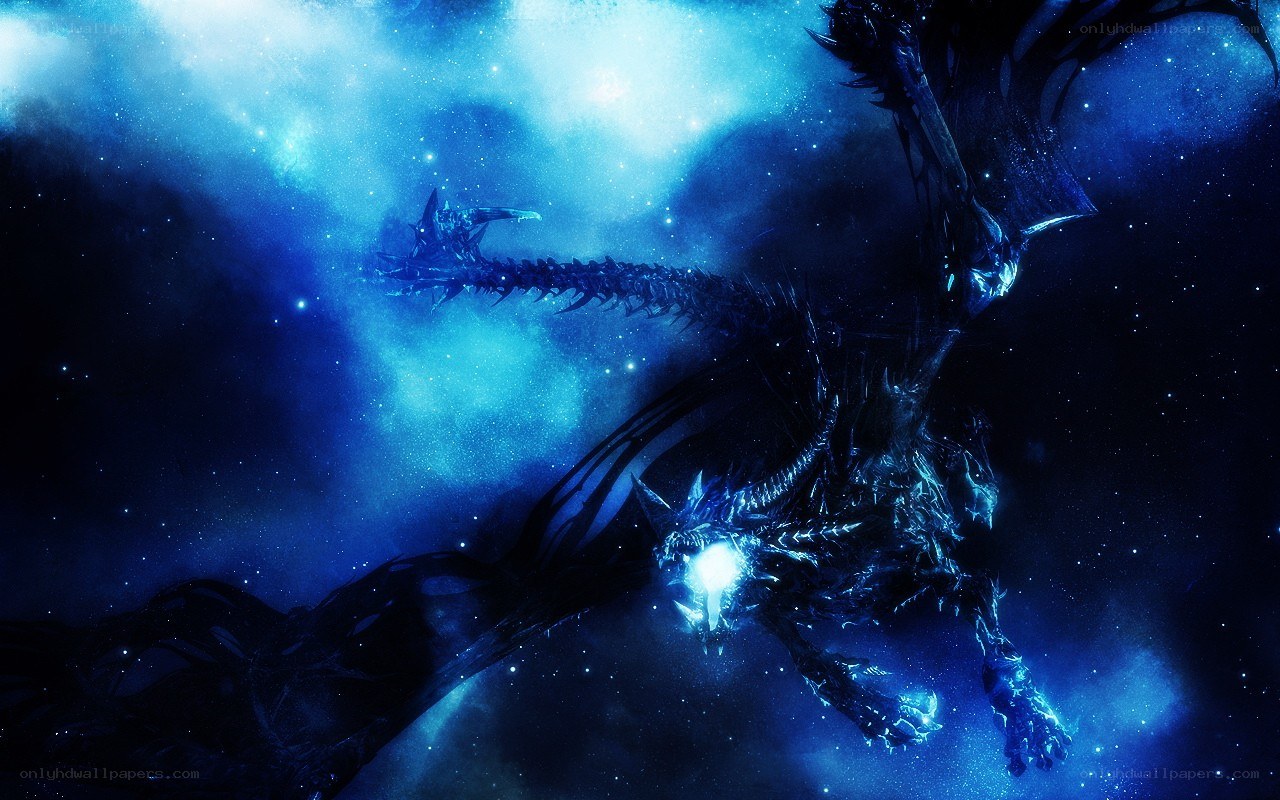 dragon in a starry sky